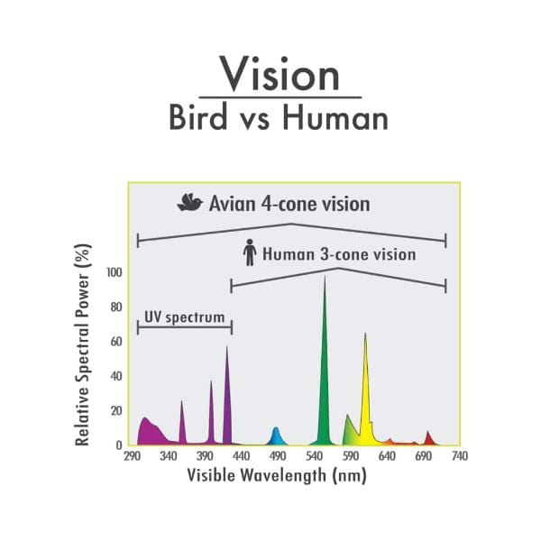 26W HARI Avian UVB 5.0/UVA 25 Energy-Saving Light Bulb for Caged Birds