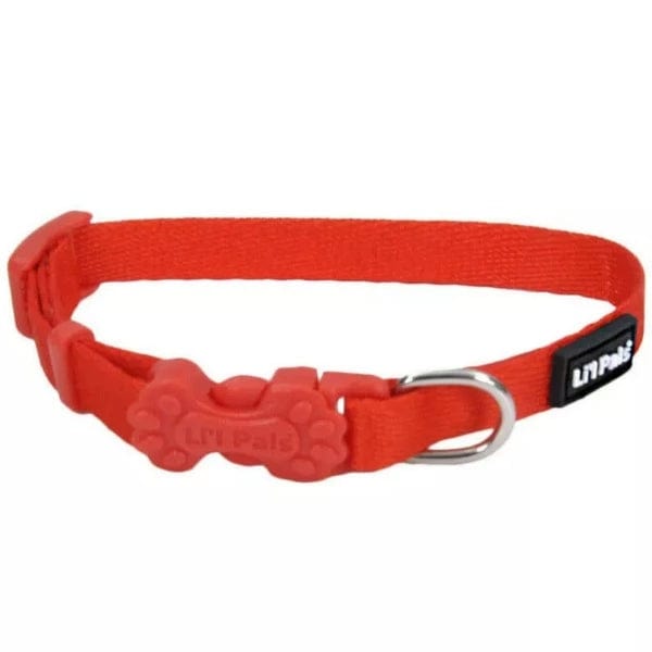 Li'l Pals Durable Adjustable Dog Collar for Small Dogs and Puppies