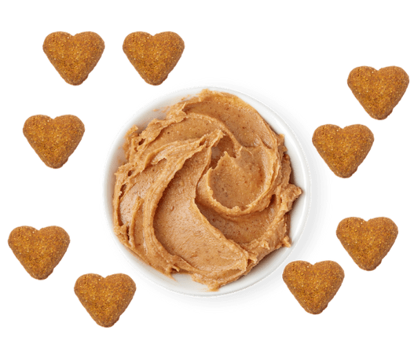 Darford Premium Grain-Free Oven-Baked Dog Treats with Peanut Butter Recipe
