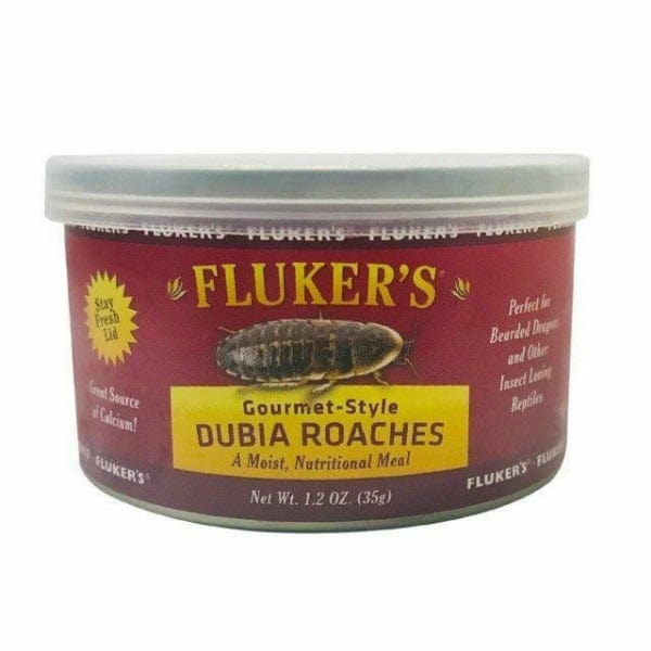 Fluker's Premium Gourmet-Style Dubia Roaches for Insect-Eating Pets