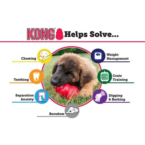 KONG Puppy Chew Toy - Ideal for Growing Puppies' Teeth