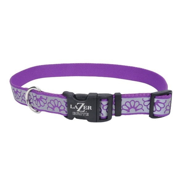 Lazer Brite Reflective Open-Style Adjustable Dog Collar for Enhanced Visibility