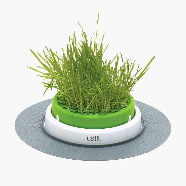 Catit Senses 2.0 Indoor Cat Grass Planter with Design Upgrades
