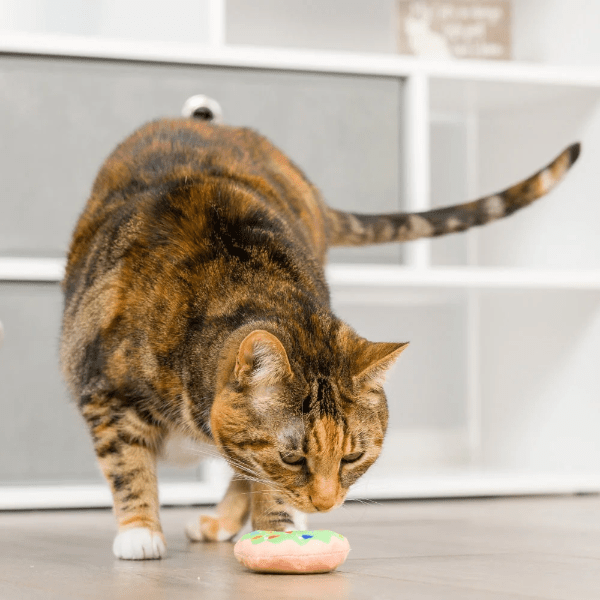 Huxley & Kent Lit Donut and Peppermint Candy Cat Plush Toy Set for Holiday Fun