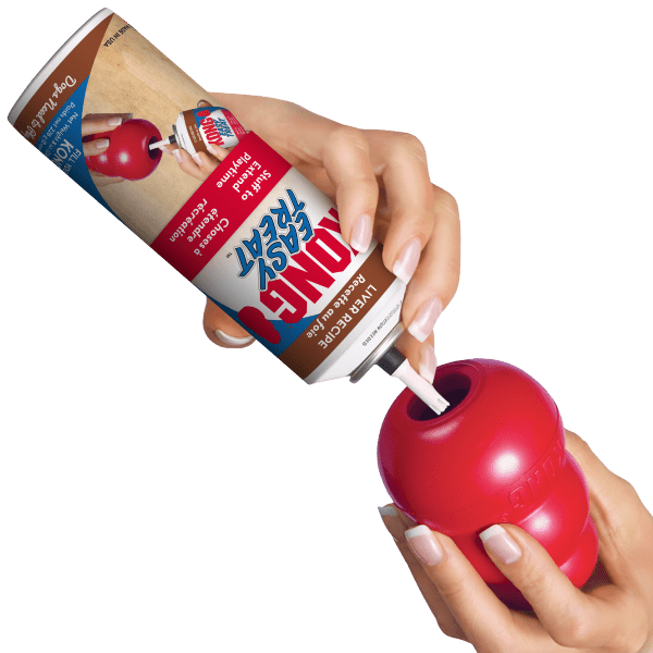 KONG Premium Liver Recipe Easy Treat for Dogs