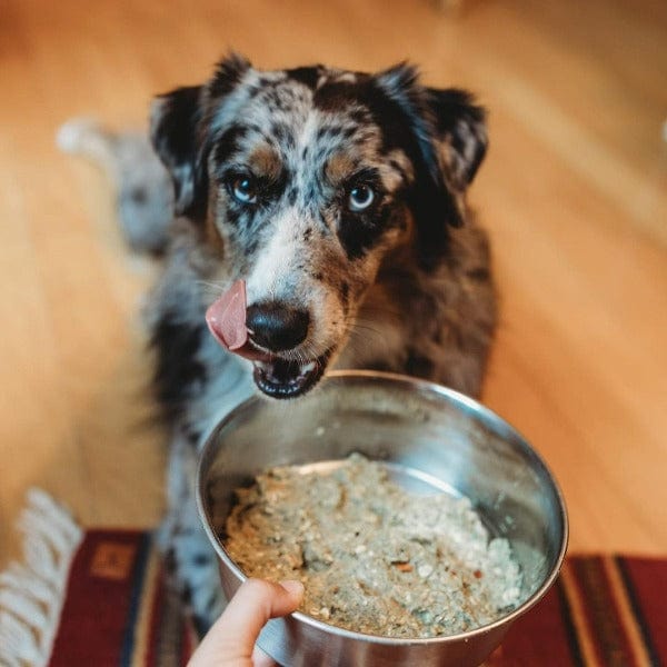 The Honest Kitchen Grain-Free Dehydrated Dog Food with Turkey Recipe, 10-Pound Bag