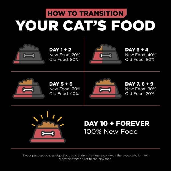 Go! Solutions Grain-Free 6lb Dry Cat Food with Single-Source Salmon for Sensitive Cats