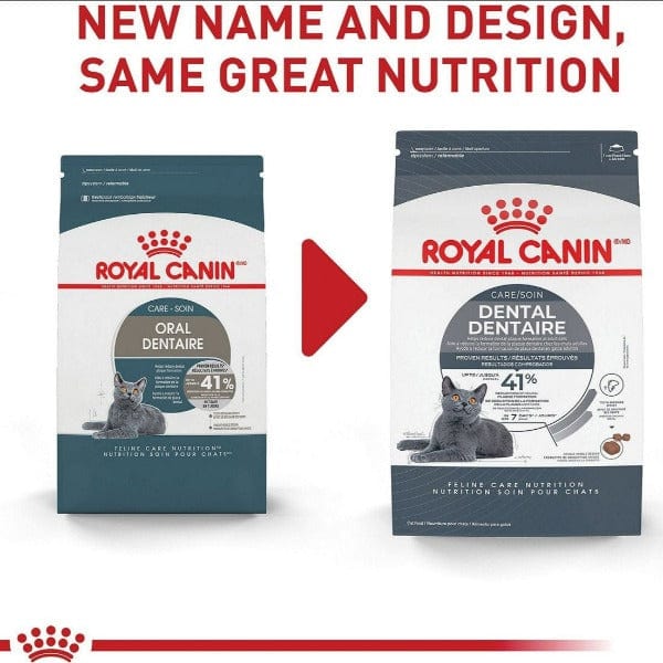 Royal Canin Adult Dry Cat Food for Optimal Dental Care