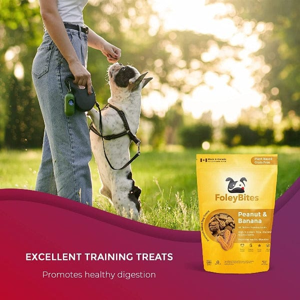 Premium Baked Foley Bites Dog Treats with Peanut and Banana Flavors
