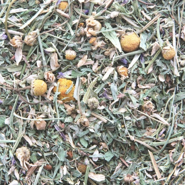 Sunburst Gourmet Natural Bird Treats with Leafy Greens and Herbs