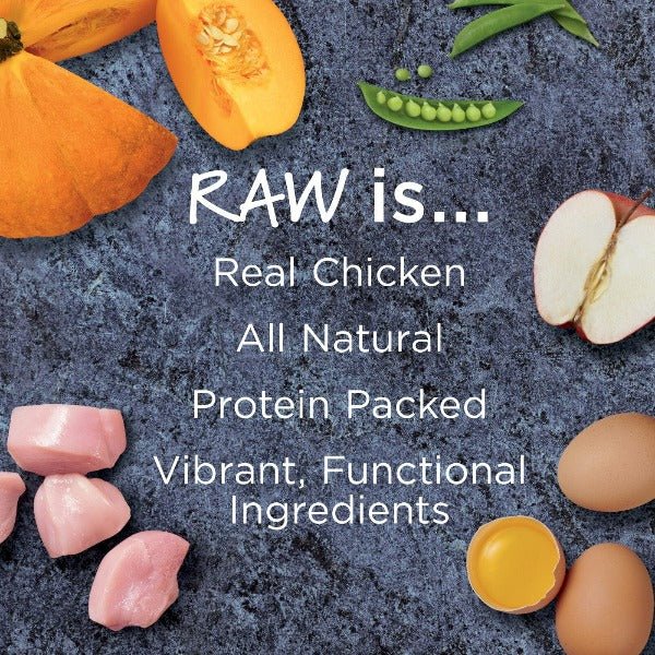 Instinct Premium Raw Boost Dry Dog Food with Real Chicken for Optimal Gut Health, 4 - pound Bag