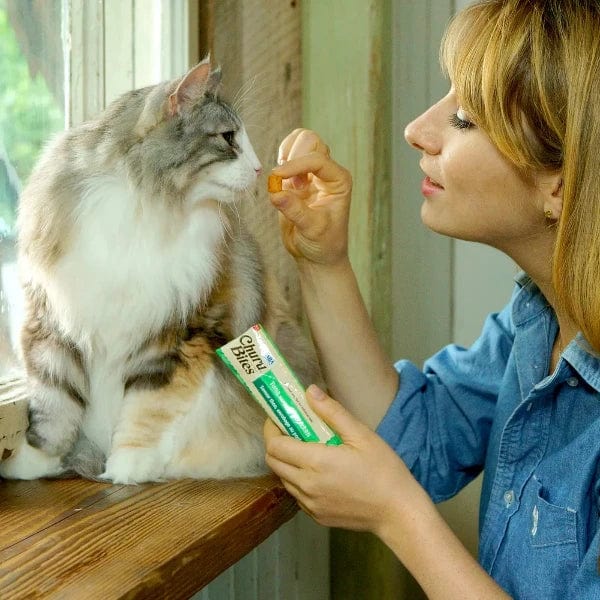 Inaba Premium Cat Treats - Churu Bites with Tuna and Salmon Recipe Creamy Purée