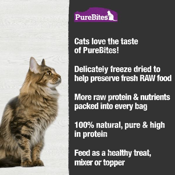 PureBites Freeze Dried Wild-Caught Ocean Whitefish Cat Treats - Premium 20g Snack for Felines