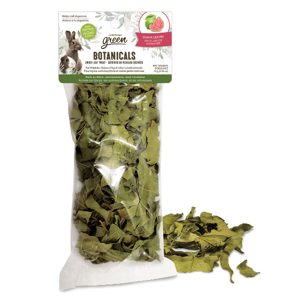 Living World Green Botanicals High - Quality Dried Guava Leaves Treat for Small Pets