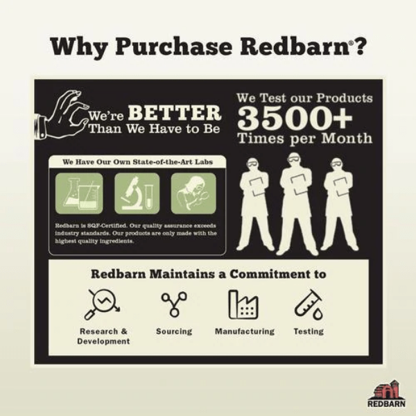 RedBarn 7-Inch Odorless All-Natural Beef Bully Stick for Dogs