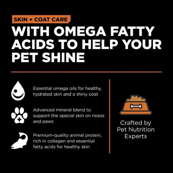 Go! Solutions Grain-Free Salmon Dry Cat Food for Skin & Coat Care