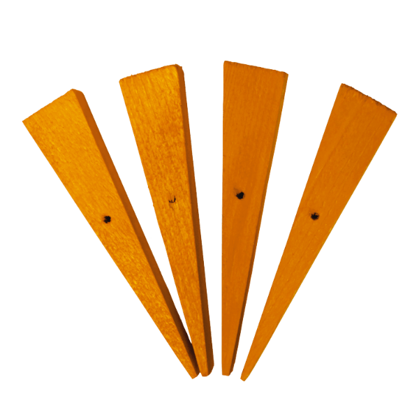 Kaytee Carrot-Shaped Chew Toys for Bunnies - Bunny Bites