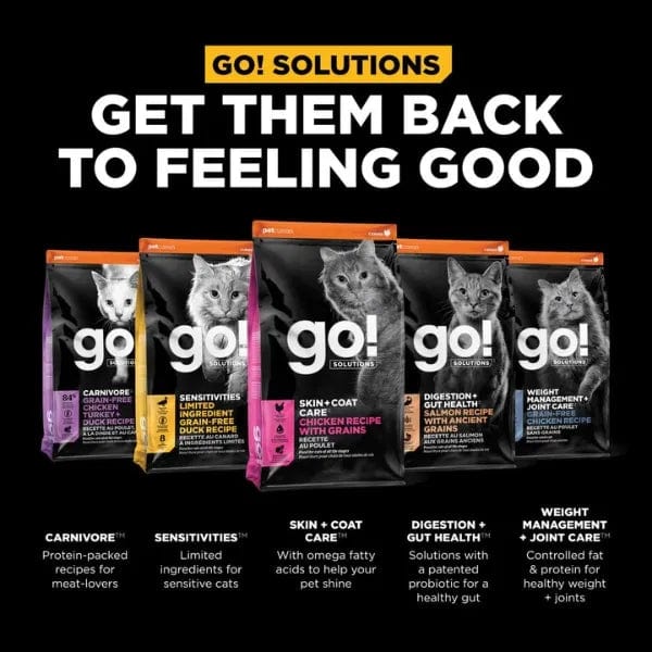 GO! Solutions Grain-Included Chicken Recipe Dry Cat Food for Skin & Coat Care