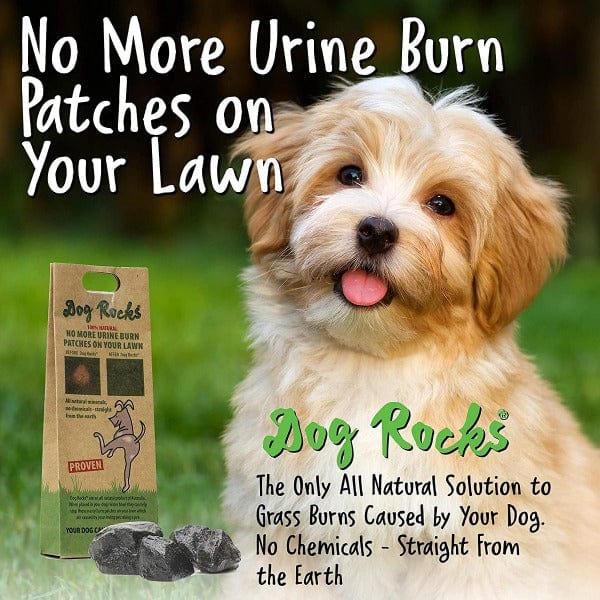 Dog Rocks 200g - Keep Your Lawn in Perfect Condition Naturally