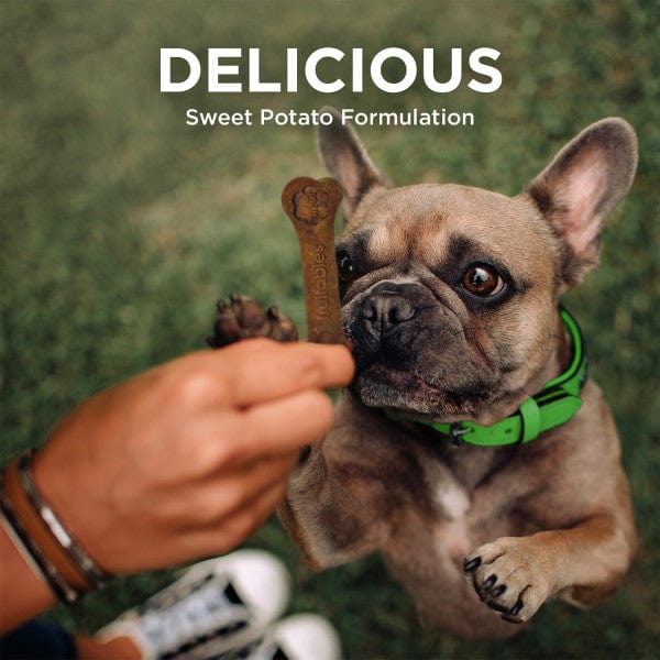Fruitables Bioactive Dental Chews for Dogs with Fresh Mouth Effect