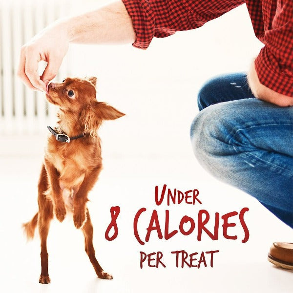 Fruitables Oven - Baked Crispy Bacon and Sweet Apple Flavored Dog Treats