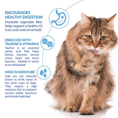 Inaba Churu Creamy Purée Cat Treat with Chicken Recipe for Hairball Control
