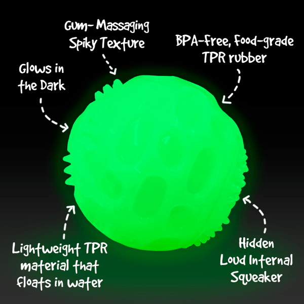 Gnawsome Glowing Squeaker Ball for Small and Medium Dogs - 3.5'