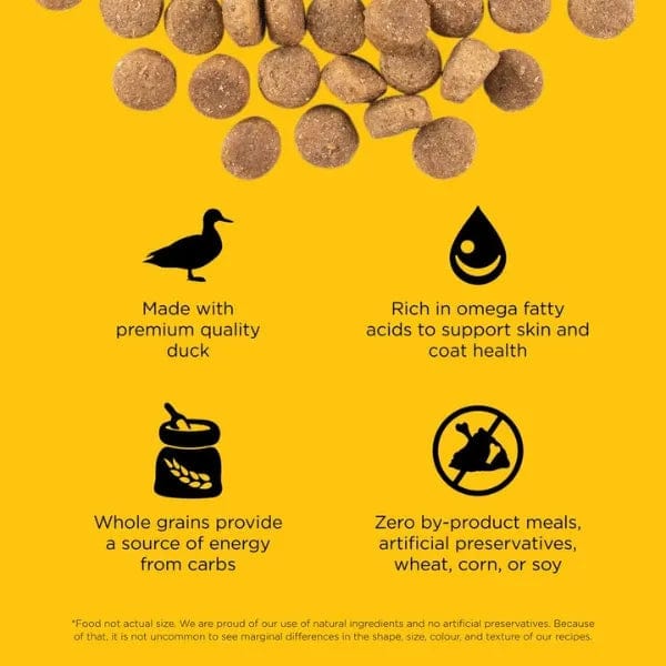 Go! Solutions Grain-Included Dry Dog Food with Duck for Skin & Coat Care