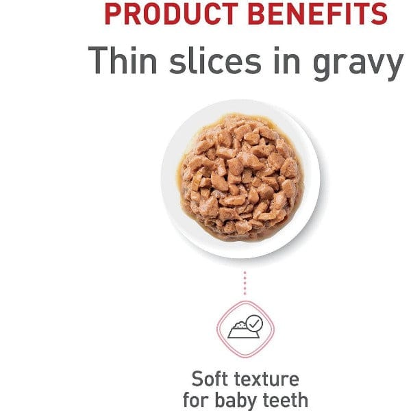 12-Pack Royal Canin Gravy Topped Kitten Thin Slices Canned Cat Food