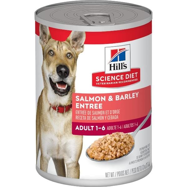 Hill's Science Diet Premium Adult Canned Dog Food with Salmon and Barley, 13 Ounce Can