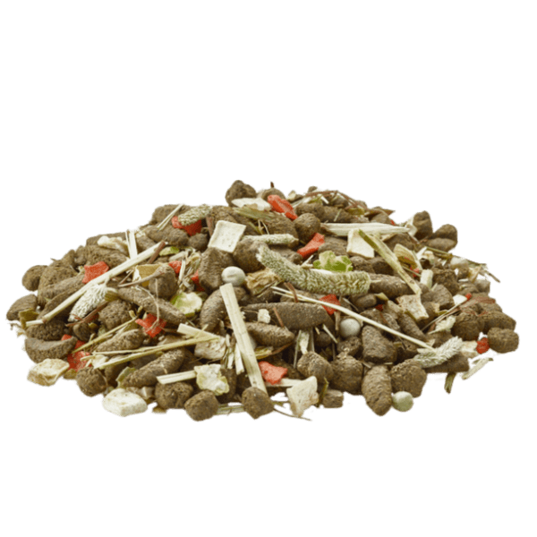 Versele-Laga Premium Nature Degu Food Mixture for Healthy Degus