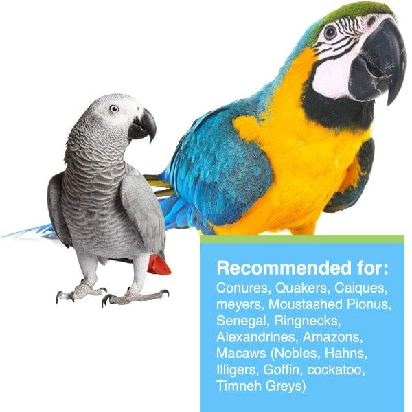Premium Tropimix Enrichment Food Formula for Large Parrots