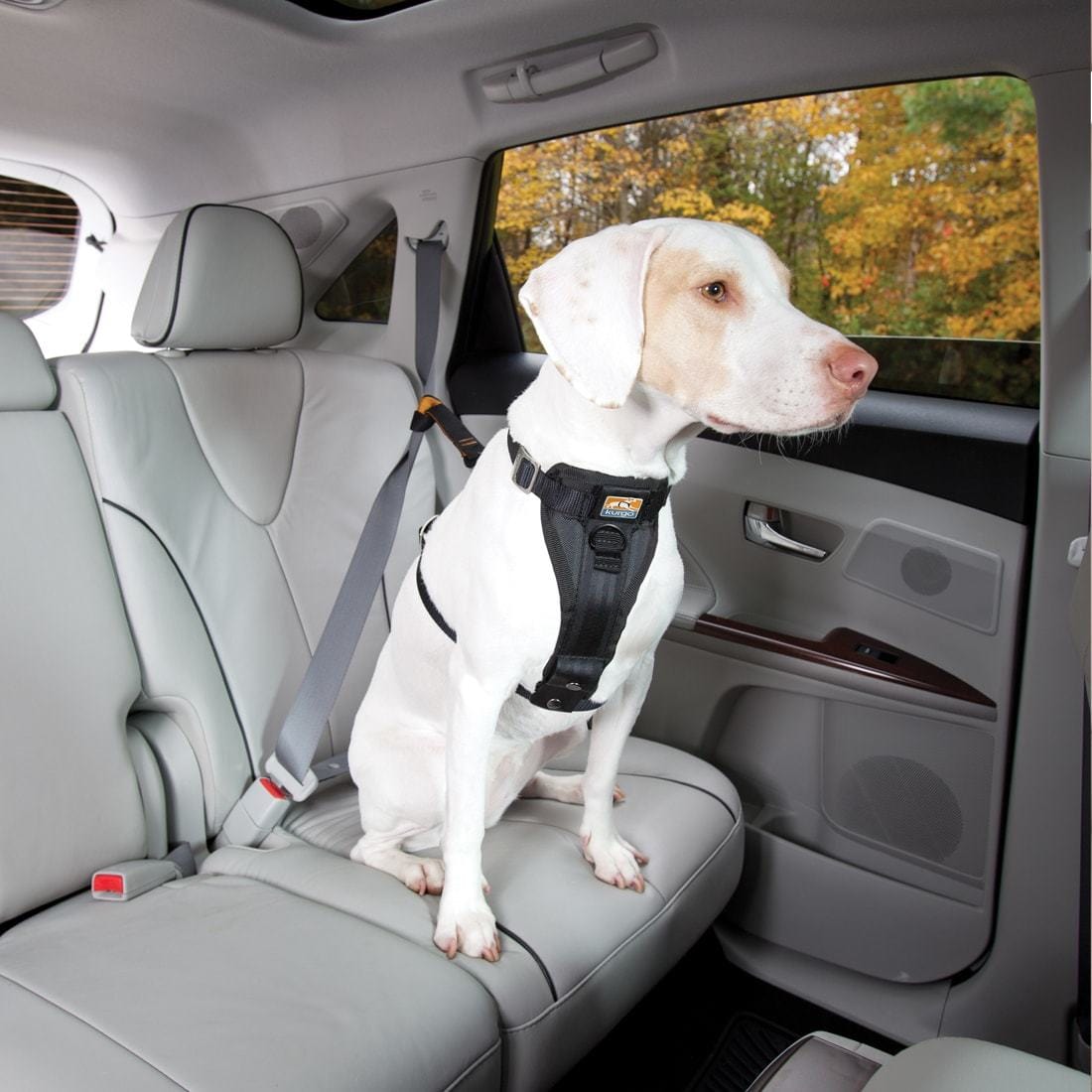 Kurgo Tru - Fit Extra Small Enhanced Strength Dog Car & Walking Harness