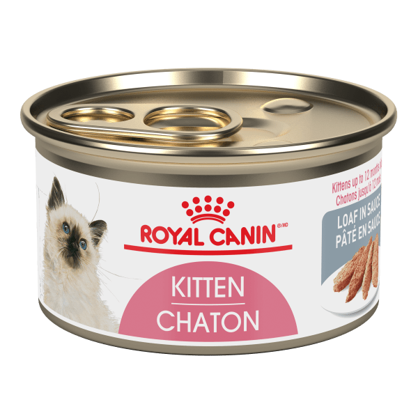 Royal Canin Sauce - Topped Kitten Loaf Canned Cat Food for 4 - 12 Months Old