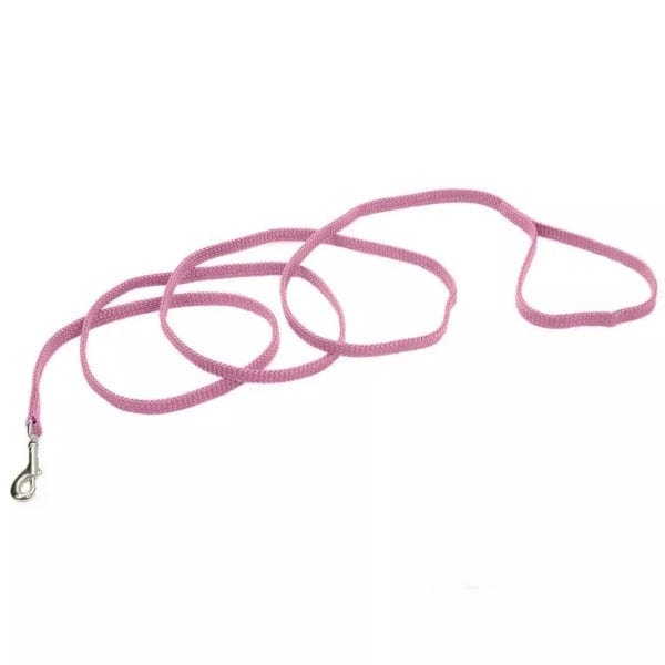 Colorful Coastal Dog Leash for Growing Puppies and Small Dogs