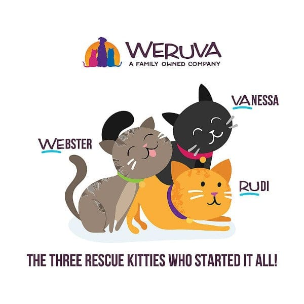 Premium Cat Food Pouch - Cats in the Kitchen with Wild-Caught Tuna, Grass-Fed Beef, and Wild-Caught Salmon - 1 if By Land, 2 if By Sea