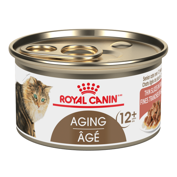 Royal Canin Premium Canned Cat Food for Aging Cats (12+ Years) - 85g Thin Slices in Gravy
