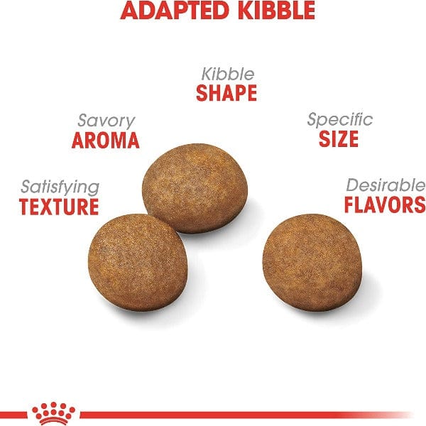 Royal Canin Premium Dry Dog Food for Large Puppies