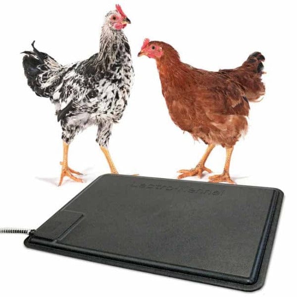 K&H Energy-Efficient Thermo Chicken Heating Pad for Chicks and Adult Chickens