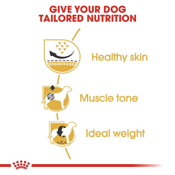 Royal Canin High - Quality Dry Dog Food Specially Formulated for Adult Pugs, 10 - Pound Package