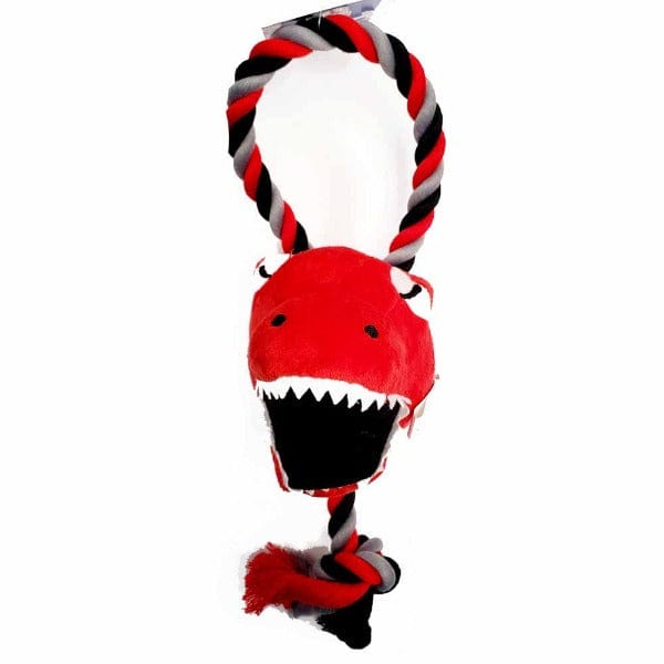 Two-Style Toronto Raptors NBA Plush Dog Toys for Endless Fun