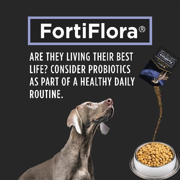 Purina Pro Plan Veterinary FortiFlora Powdered Probiotic Supplements for Dogs - Premium Digestive Health Support
