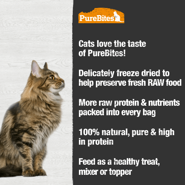PureBites Freeze - Dried Gourmet Duck Liver Treats for Cats, 30g (1.05 oz) - High - Quality Feline Snack