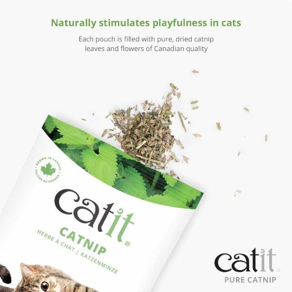 Catit Premium Pure Canadian Catnip for Feline Fun