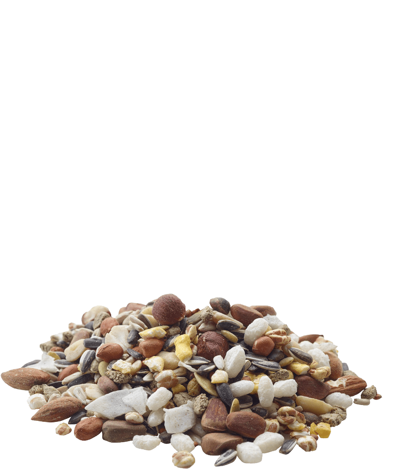 Versele-Laga Natural Nutty Snack Treats for Omnivorous Rodents