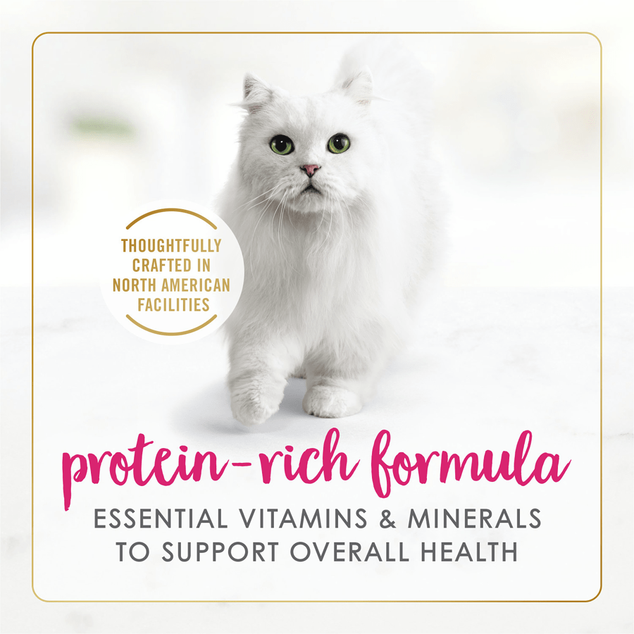 Fancy Feast Premium Chicken Pate Canned Cat Food - 85g