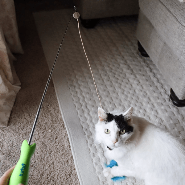 LED Pointer Turbo Telescoping Wand Cat Toy for Endless Fun