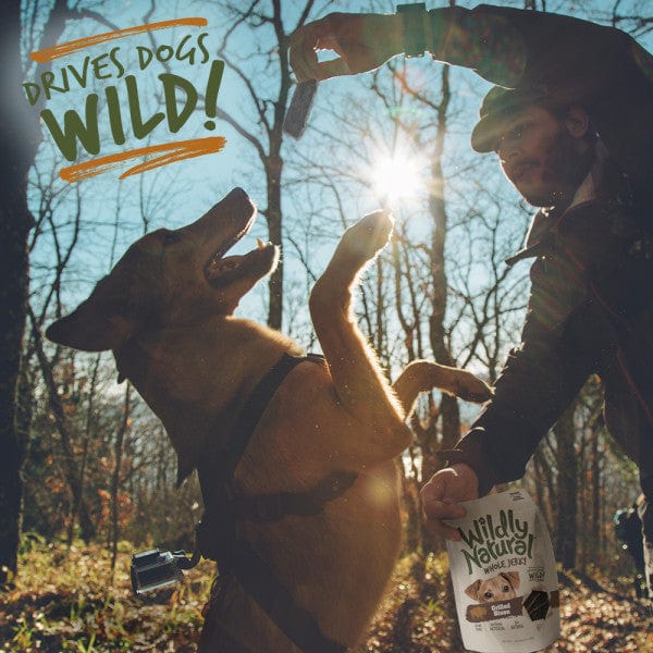 USA-Sourced All-Natural Grilled Bison Whole Jerky Dog Treats