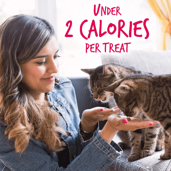 Fruitables Premium Cat Treats with Salmon Flavor and Cranberry Delight