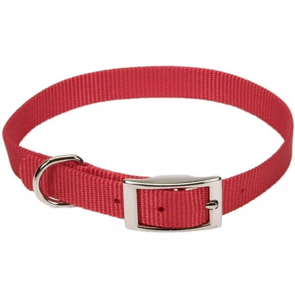 Coastal Single - Ply Durable Nylon Dog Collar for All Breeds